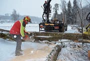 An verschiedenen Stellen am Thurwanderweg im Sonnental liegt frisch geschlagenes Holz. Vor dem Abtransport werden die Baumstämme auf die passende Länge geschnitten. (Bild: Urs Bänziger)