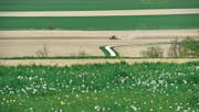 Ein Bauer bewirtschaftet einen Acker im Kanton Thurgau. (Bild: Donato Caspari (Ottoberg, 11. April 2017))