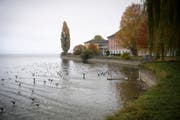 Areal der Psychiatrischen Klinik Münsterlingen. Eine Arbeitsgruppe soll dem Regierungsrat einen Vorschlag einreichen, wie die Erinnerungsgedenken ausgestaltet und wo die Erinnerungsorte eingerichtet werden sollen. (Bild: KEYSTONE)