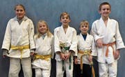 Klein, aber fein: die Gruppe des Judoclubs Buchs, die an der Bodenseemeisterschaft teilnahm. (Bild: PD)
