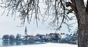 Im letzten Winter bildete sich vor dem Dorf am Untersee eine kleine Eisdecke. (Bild: Donato Caspari)