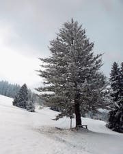 Besinnliche Winterlandschaft