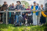 Viele Menschen verfolgten das Glockenkonzert auf Drei Weieren. (Bild: Benjamin Manser)