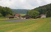 Der Weiler Wattwil in der Zürcher Gemeinde Oberweningen ist weit abgelegen und nur durch einen Waldweg erreichbar. (Bilder: Beat Lanzendorfer)