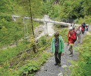 Die wandernden Senioren überquerten die Hebeltobelbrücke. (Bild: pd)