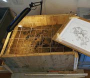 Unter dem Bagger kam in Tübach ein Grab aus der Bronzezeit zum Vorschein (rechts). Im Labor der Kantonsarchäologie werden Fundstücke ausgegraben und dokumentiert. (Bilder: Kantonsarchäologie St. Gallen)