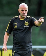 Der neue Dortmund-Trainer Peter Bosz beerbt Thomas Tuchel und soll wieder Ruhe in den Verein bringen. (Bild: Andy Müller/Freshfocus)