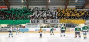 Die Stehplatztribüne in Grün, Weiss und Gelb: Die vielen Fans des HC Thurgau zeigten vor dem Playoff-Spiel gegen den EHC Olten eine gelungene Farbchoreografie. (Bilder: Marc Schumacher/Freshfocus)