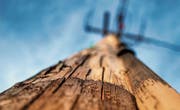 Die Swisscom plant, statt umweltschädlicher Stoffe einen Pilz zum Schutz ihrer Holzmasten einzusetzen. (Bild: Patrick W. Zimmermann/Getty)