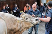 Martin Preisig begutachtet an einer Zuchtfamilienschau die Kühe. (Bild: Donato Caspari)