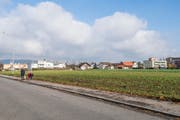 Die unbebauten Parzellen an der Sonnenhofstrasse in Frauenfeld. (Bild: Thi My Lien Nguyen (Thi My Lien Nguyen))