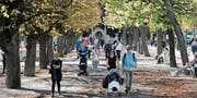 Für viele Junge ist Zürich attraktiver als St. Gallen. (Bild: Ennio Leanza/Keystone (Nähe Bürkliplatz, Oktober 2014))