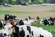 Das Land von Landwirt Jörg Herzog in Niederwil ist nach den Motocross-Rennen wieder topfeben. (Bild: Donato Caspari)