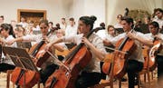 Alles geben: Blick in die Reihen der Musizierenden. (Bild: alttoggenburger)
