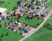 Die Neufeldwiese bleibt womöglich noch länger grün. (Bild: PD)