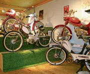 Bei 39 Motorrädern ist für jeden etwas dabei. (Bild: Lisa Inauen)