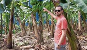 Marc Tschallener auf einer Bananenplantage in der Nähe von Limón. (Bilder: PD)