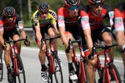 Die Tour de Suisse macht im Juni Halt in Frauenfeld. (Bild: GIAN EHRENZELLER (KEYSTONE))