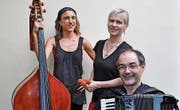 Das Trio Dacor konzertiert in Weinfelden. (Bild: PD)