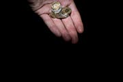 Mehrere Liechtensteiner sagen, wegen der Quellsteuer würden sie in finanzielle Not geraten. (Bild: Benjamin Manser)