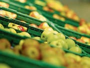 Aussen schön, innen geschmackvoll: Die Ansprüche ans Obst sind hoch. (Bild: Hannes Thalmann)