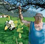 Ungewöhnliche Apfelbluest im Hochsommer (Bild: Hansruedi Rohrer)