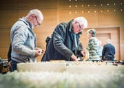 Zwei Besucher durchstöbern an der Briefmarkenbörse geduldig die zahlreichen Karteikästen. (Bild: Andrea Stalder)