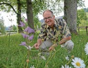 Nicolo Schwarzenbach mit dem «Roten Waldvögelein», einer einheimischen Orchideenart. (Bild: Karin Erni)