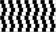 Optische Täuschung: Das Bild gaukelt schräge Linien vor, dabei sind alle gerade. (Bild: PD)
