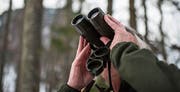 Es gab keine Unfälle während der vergangenen Nieder- und Hochjagd. (Bild: APZ)