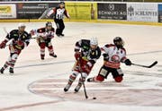 Kann der SCH (mit Marc Pace) in den Playoffs den Favoriten Bellinzona (rechts Thomas Schena) in die Knie zwingen? (Bild: Mea McGhee)