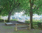 Von der Feuerstelle im Schlipf aus geniesst man das Alpstein-Panorama. (Bild: Sara Leu)