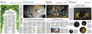 Das «St. Galler Tagblatt» ist mit drei und die «Ostschweiz am Sonntag» mit einer Auszeichnung gewürdigt worden.