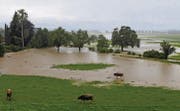 Vor allem im unteren Teil des Dorfes hat der Bach am 14. Juni grössere Bereiche unter Wasser gesetzt. (Bild: Ruth Grünenfelder)