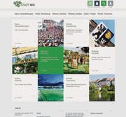Die neue Website ist inhaltlich in fünf Rubriken gegliedert. (Bild: pd)