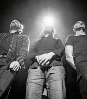 Christian Weiss, Daniel Schaub und Roman Riklin bilden das Trio Heinz de Specht. (Bild: PD)