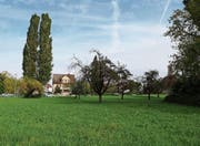 Die grosse Wiese neben dem Freibach wird eingezont. (Bild: Jolanda Riedener)