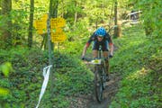 Der Elitebiker Simon Vitztum aus Thal zeigt wie es geht und fährt auf einem legalen Trail durch den Wald. (Bild: Christof Sonderegger)