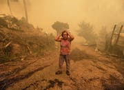 Portugal wird schon seit Monaten von Waldbränden heimgesucht, so wie hier Pampilhosa da Serra im Zentrum des Landes. (Bild: Paulo Novais/EPA)