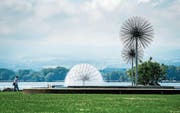 Das Wasserspiel des «Pusteblumen-Brunnens» im Sommer. (Bild: Reto Martin (6. Juni 2016))