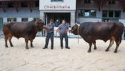 Janko von Christian Graf und Vinz von Thomas Stark wurden Champions. (Bild: Martin Brunner)