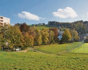 Zwischen dem Sportplatz und dem Altersheim Heinrichsbad soll der Begegnungsort entstehen. (Bild: sso)