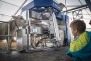 Anstehen vor dem Melkroboter und gleichzeitig posieren für die Besucher. Für Esther und Heini Strickers Kühe aus Mörschwil war der Laufstall an der Olma temporäres Daheim. (Bild: Ralph Ribi (12. Oktober 2016))