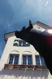 Wer zieht in das vom mächtigen Muni bewachte Stadthaus Amriswil ein? (Bild: PD)