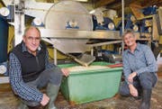 Edi Bosshard und Rosmarie Zahner betreiben ihre Lohnmosterei in Münchwilen. (Bild: Christoph Heer)