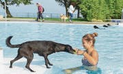 Frauchen Jana steht im Wasser und versucht, die Hündin Naila ins Wasser zu locken. Vergeblich. (Bild: Daniela Ebinger)