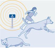Manche Geräte verscheuchen nicht nur Katzen, sondern auch Kinder oder Hunde. (Bild: Illustration: sgt/Marion Oberhänsli)