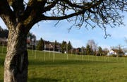 Thurgauer Gemeinden sollen Besitzer von Bauland zum Bauen verpflichten können. (Bild: Nana do Carmo)