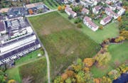 Auf dieser Wiese in der Äusseren Stammerau sind in zwei L-förmigen Gebäuden rund 100 Wohnungen geplant. (Bild: Olaf Kühne)
