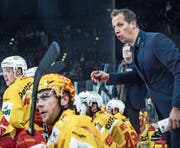 Trainer Antti Törmänen im Einsatz. (Bild: Melanie Duchene/Keystone)